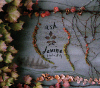 Ash Devine's Debut Album Co-produced by F.M Turner and Ash Devine 2008